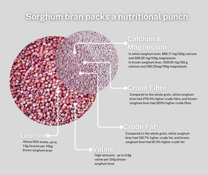 Sorghum bran packs bigger punch than whole grain
