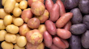 How To Pick The Perfect Potatoes For Your Potato Salad Recipe – Mashed