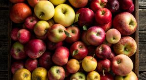 43 Minnesota apple orchards ripe for picking