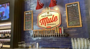 Brews, bites + lively competition at Salt Face Mule Brewing Co.