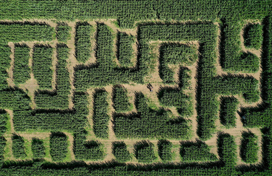 North Texas Corn Mazes Getting Ready to Open for the 2023 Season!
