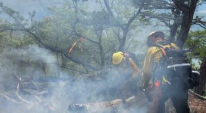 Fire Burns in Shenandoah National Park