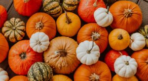 Size And Shape Matter When Pressure Cooking A Whole Pumpkin – Tasting Table