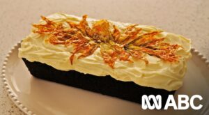 Annabel Crabb’s dark, rich chocolate cake has a delicious veggie twist – ABC Everyday