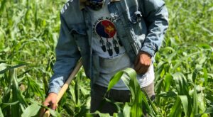Center for Integrated Agricultural Systems partners with Indigenous communities, supports local Indigenous food sovereignty