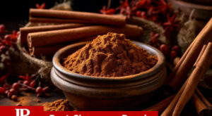 10 Best Cinnamon Powders for 2023
