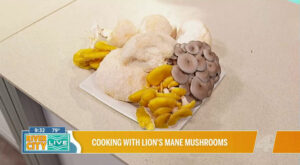 Cooking with Lion’s Mane mushrooms