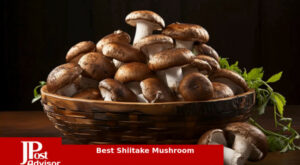 10 Best Selling Shiitake Mushrooms for 2023