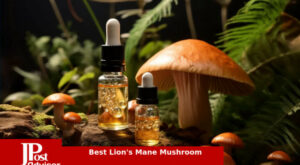 10 Best Lion’s Mane Mushrooms Review