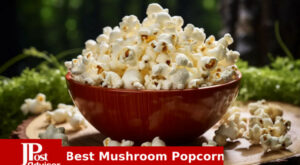 10 Best Mushroom Popcorns Review
