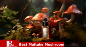6 Best Selling Maitake Mushrooms for 2023