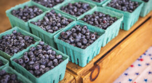 11 Underrated Ways To Use Up Fresh Blueberries – Tasting Table