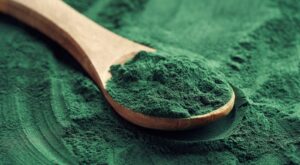 Spirulina: Benefits and Our Top Picks!