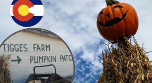 3 Places to Pick the Perfect Pumpkin in Northern Colorado