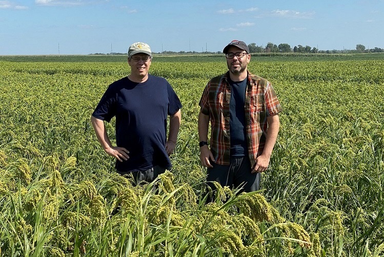 Ag expert sees proso millet as Iowa’s crop of the future – Radio Iowa