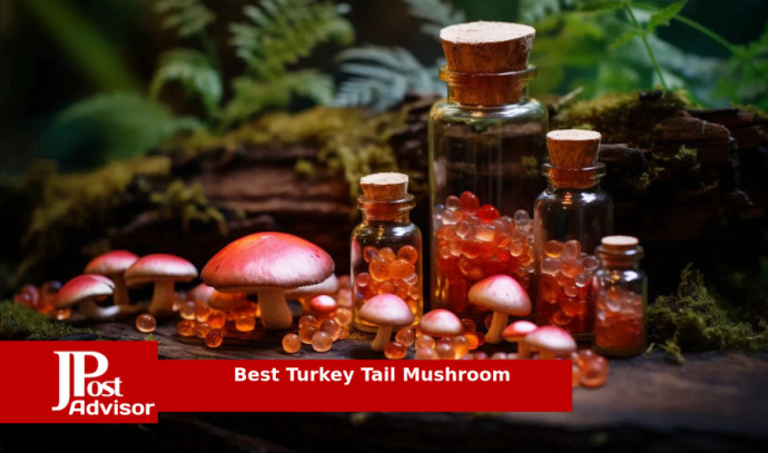 10 Most Popular Turkey Tail Mushrooms for 2023