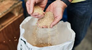 John Palmer’s tips for gluten free brewing – Beer & Brewer