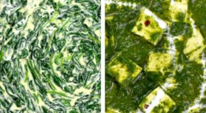 The 30+ BEST Frozen Spinach Recipes