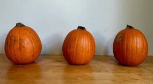 How To Prepare A Whole Pumpkin For Your Recipes – Mashed