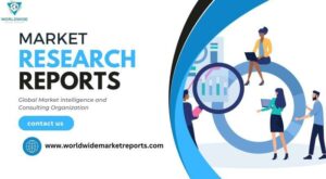 Comfort Food Market Industry Detailed Exploration, Top Main Players Assessment, and Forecast To 2030 | Top Players: Comfort Foods Inc, Mr. Mac