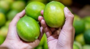 Why You Should Be Buying Limes At Costco