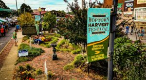Harvest festival set to highlight, support local agriculture