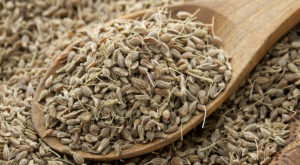 You Can Use Anise Extract In Place Of The Seed, But There’s One Caveat
