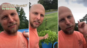 Gardener warns against a major mistake that may be killing your plants: ‘You’ve got to start growing things this way’ – Yahoo News