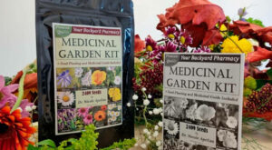 Medicinal Seed Kit Reviews – Does It Work? Nicole Apelian Garden … – The Daily World