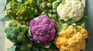 Color your world with fall vegetables – Star Tribune