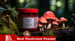 7 Best Mushroom Powders for 2023 – The Jerusalem Post