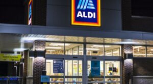 Aldi’s Cute New Chopping Block Is Perfect for Fall—And It’s Less … – jacksonprogress-argus