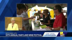 What to expect at the Maryland Wine Festival – WBAL TV Baltimore