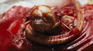 7 most gruesome deaths in sci-fi movies – Digital Trends