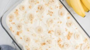Easy Banana Pudding With Condensed Milk – Everyday Family Cooking