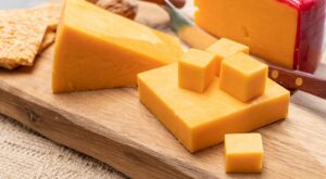 This Wisconsin University Is Hiring People to Eat Cheese – Food & Wine