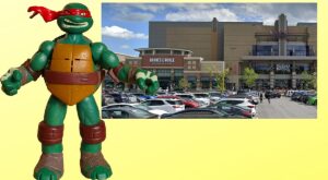 Popular Toy and Collectable Store in Colonie Center Set to Close – Q105.7