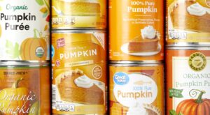 Best Canned Pumpkin of 2023 (Tested & Reviewed) – The Kitchn