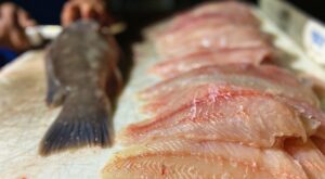 How to Fillet a Fish: Step By Step Guide – Outdoor Life