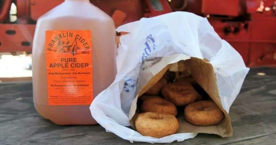 Franklin Cider Mill now open for 2023 season – WXYZ 7 Action News Detroit