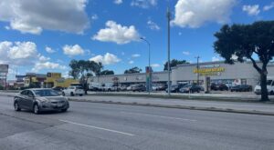 Strip malls drive Houston’s small businesses – Marketplace
