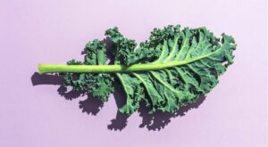 The 10 Tastiest Ways to Eat More Kale—Even if You’re Over Kale Salad