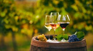 Drinks.com sells its wine website, focuses on ecommerce tech sales