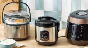 We Tested 19 Rice Cookers—From .99 to 0—and These Are the 5 We Recommend