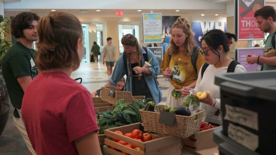 Ross Student Farm produce stand brings fresh produce to community weekly | Penn State University