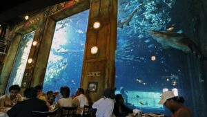 Underwater Restaurant In Texas Recognized As One Of The ‘Most Amazing’ Concept Eateries In The World | 106.1 KISS FM
