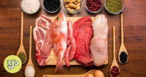 Nutritional value of different meats and healthiest ways to cook it – YP